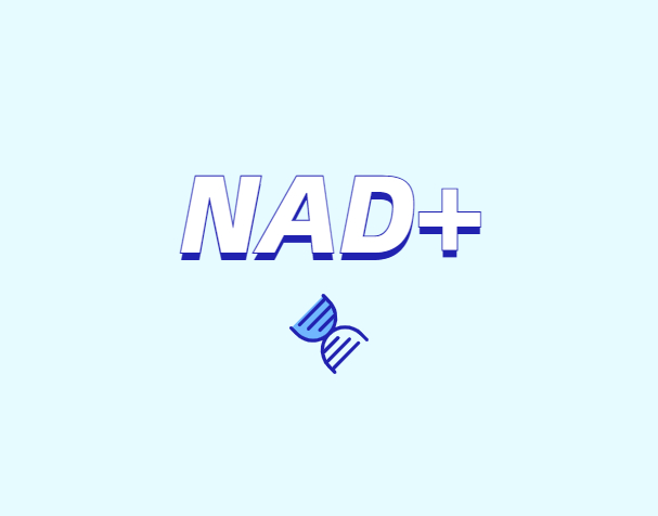 NAD+ 對(duì)身體有什么作用？如何獲取 NAD+？