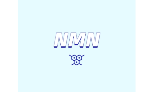 哪里可以買到 nmn？